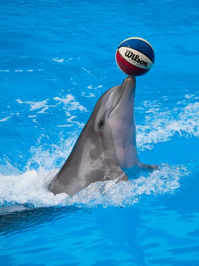 SeaWorld Orlando